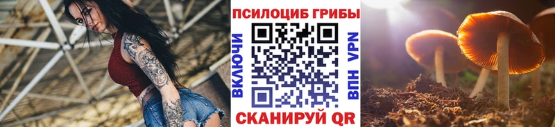 Псилоцибиновые грибы Magic Shrooms  Купить  Нязепетровск 